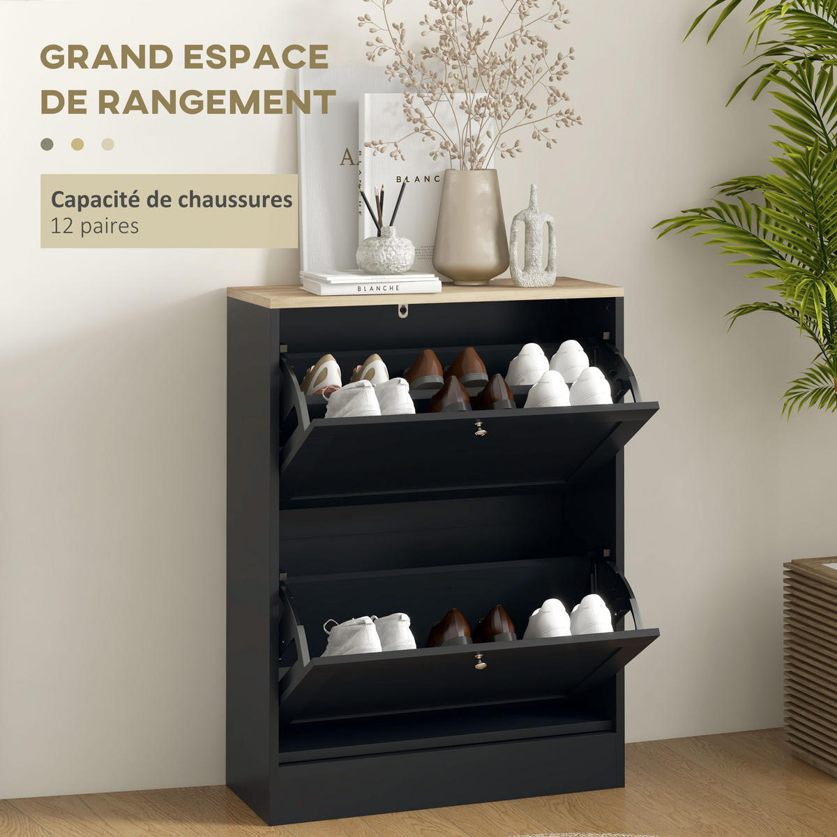 SCHUHSCHRANK Schwarz Holzwerkstoff klappbar mit Fächern 1 Stück - Schwarz, Holzwerkstoff (60/80/23.5cm) - PANGIVO