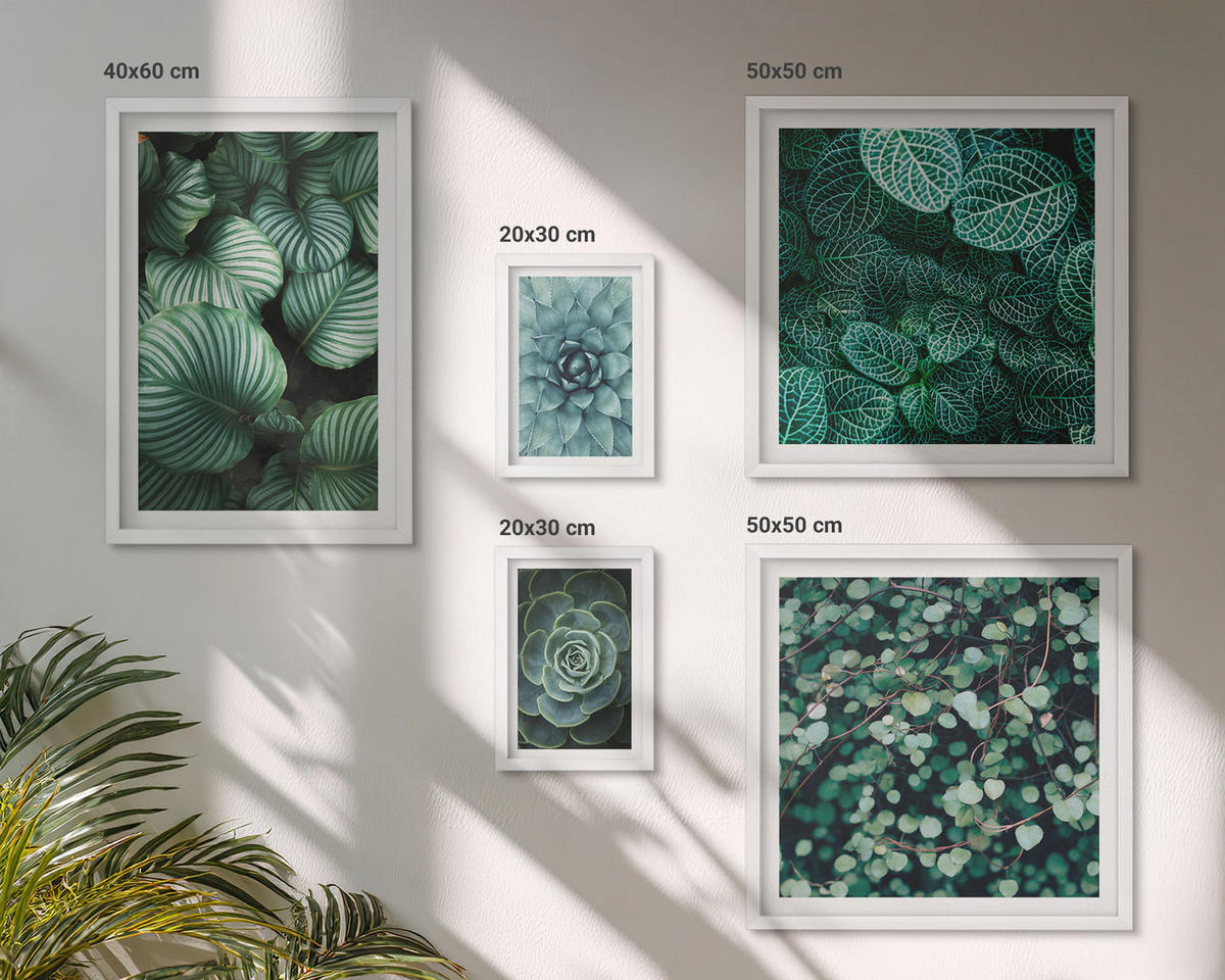 BILDER SET 5er Set - 50x50 cm & 20x30 cm & 40x60 cm Weißer Rahmen - Meerstrand Zitronen Berge - Weiß, Kunststoff (40/60cm) - TULUP
