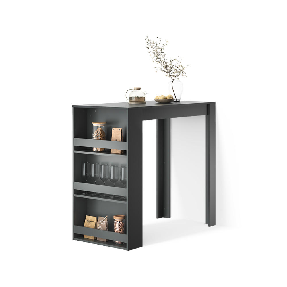 BARTISCH Regusa Anthrazit 57 x 117 cm - Anthrazit, Holzwerkstoff (117/57/106cm) - Livinity®