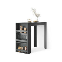BARTISCH Regusa Anthrazit 57 x 117 cm - Anthrazit, Holzwerkstoff (117/57/106cm) - Livinity®