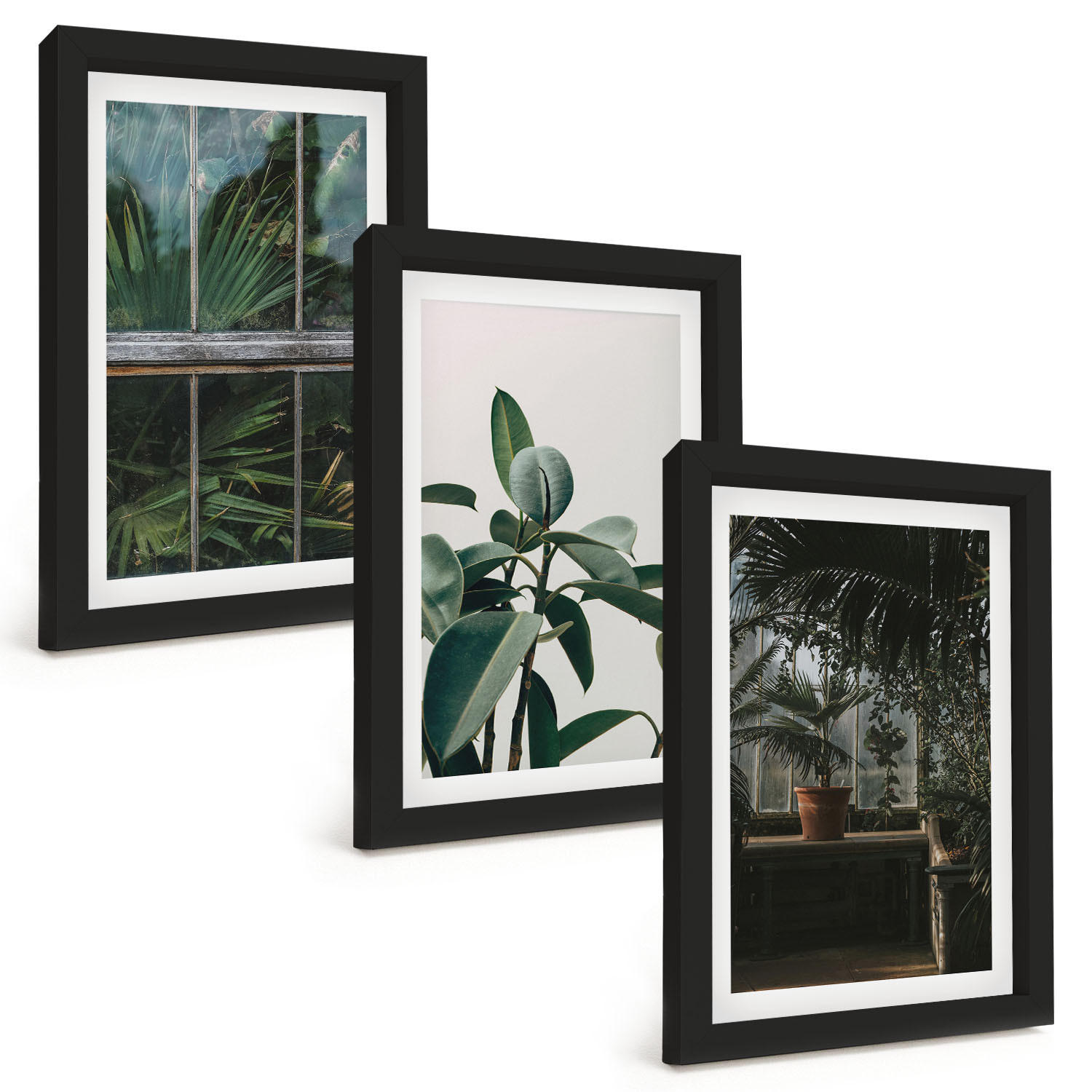 BILDER SET 3er Set - 20x30 cm Schwarzer Rahmen - Grüne Blätter an der Fensterpflanze - Schwarz, Kunststoff (20/30cm) - TULUP
