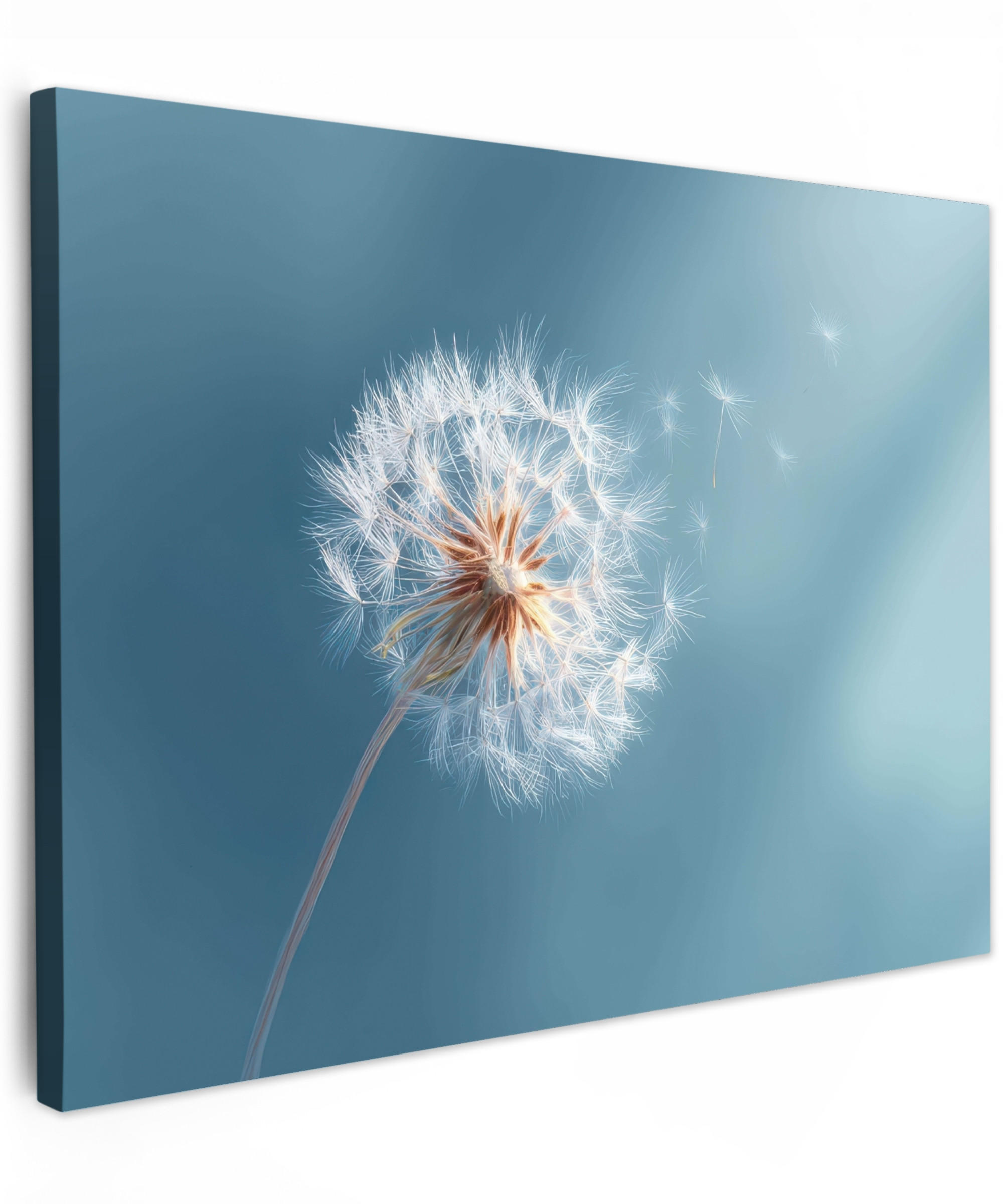 LEINWANDBILD Löwenzahn - Wind - Blau Wandbild 40x30 cm - Blaugrau, Textil (40/30cm) - MuchoWow