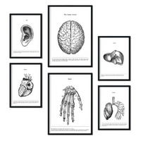 POSTER Set Mit 6 Belies Sammlung A3 & A4 Schwarzer Rahmen - Schwarz, Papier (29/3cm) - Nacnic