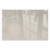 GLASPLATTE für Kamin 60x40 cm - Creme, Glas (60/40/0.4cm) - TULUP