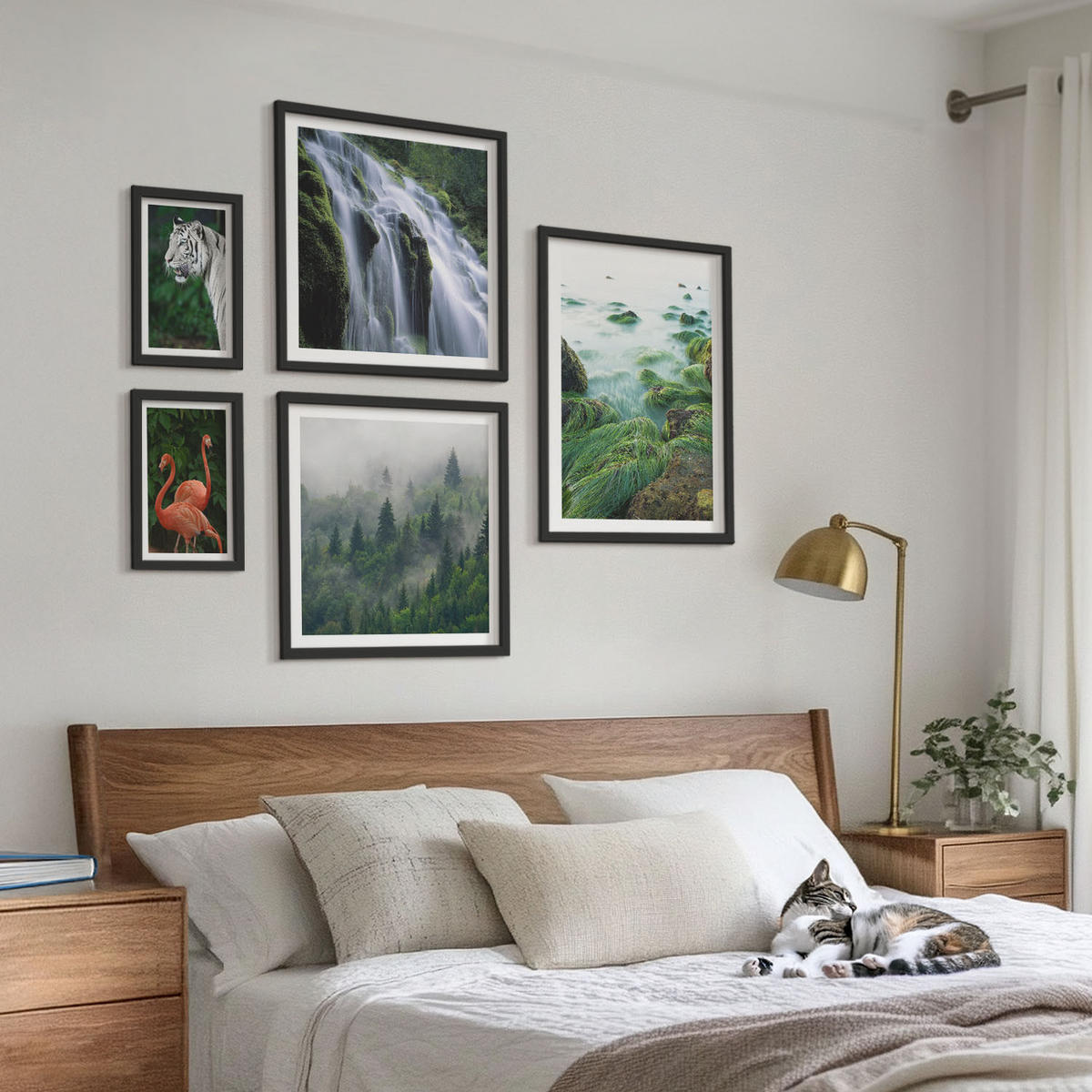 BILDER SET 5er Set - 50x50 cm & 20x30 cm & 40x60 cm Schwarzer Rahmen - Tiger Wasserfall Flamingos Natur - Schwarz, Kunststoff (40/60cm) - TULUP