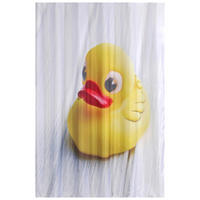 DUSCHVORHANG Ente 180 x 200 cm - Gelb, Textil (180/200cm) - Sanilo