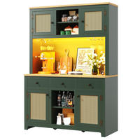 BUFFET Multifunktionaler Aufbewahrungsschrank mit Rattan-Front, LED & Kippsicherung - Grün, Holzwerkstoff (120/180/40cm) - EVRYAE