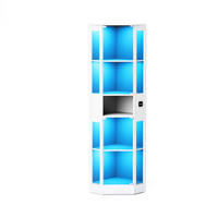 VITRINENSCHRANK mit LED Beleuchtung und Stauraum Weiß - Weiß, Glas (57/165/40cm) - PARAFTA HOME
