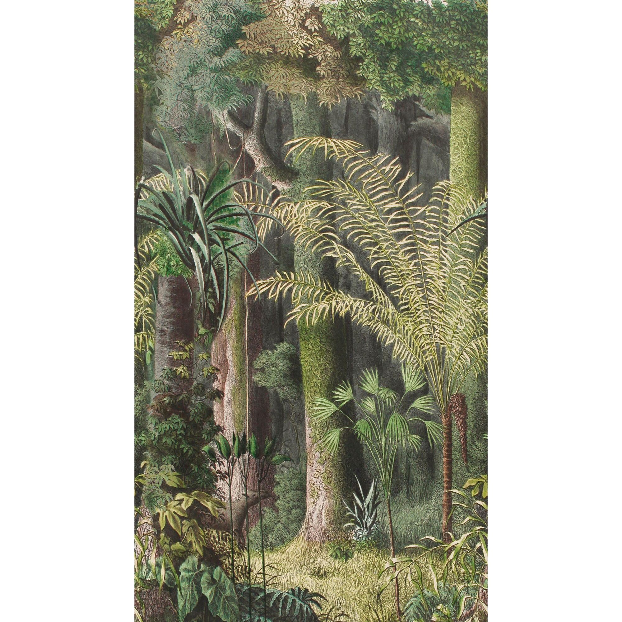 FOTOTAPETE Into the Woods 280x159cm - Grün, Papier/Kunststoff (159/1cm) - Sublime