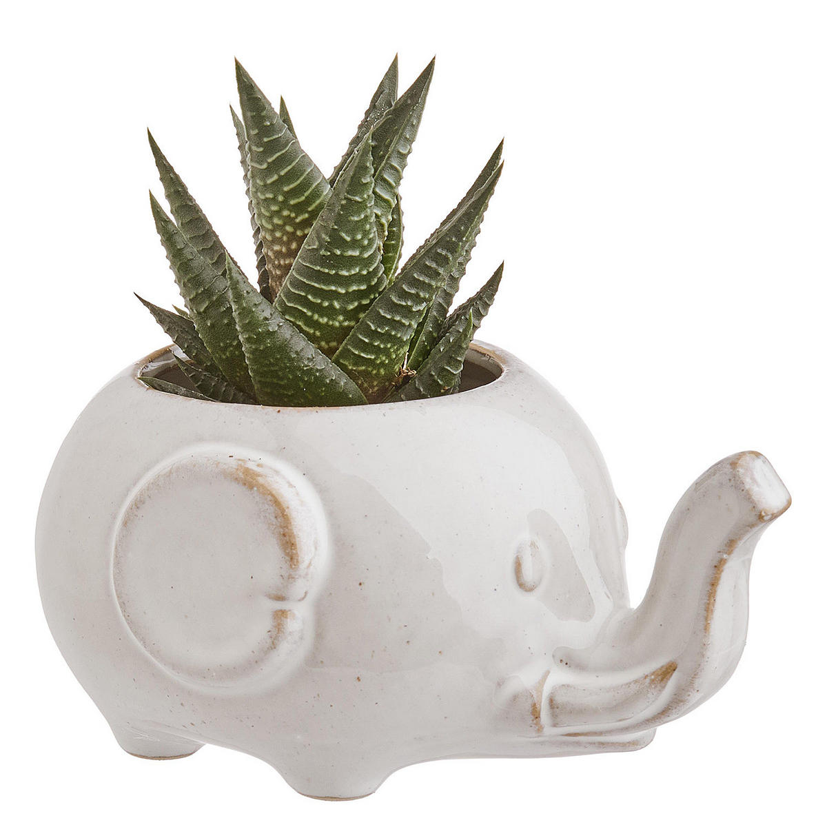 BLUMENÜBERTOPF (2er Set) Jungle - Beige, Keramik (8cm) - Butlers