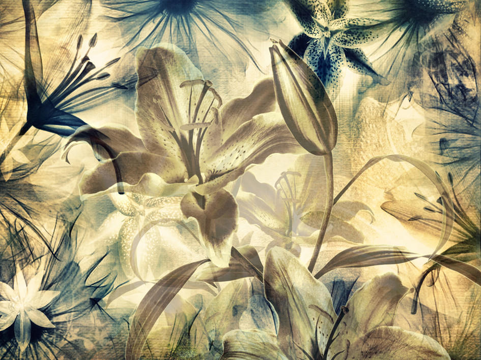 FOTOTAPETE Blumen 360 x 254 cm - Gelb, Papier (360/254cm) - Sanders & Sanders