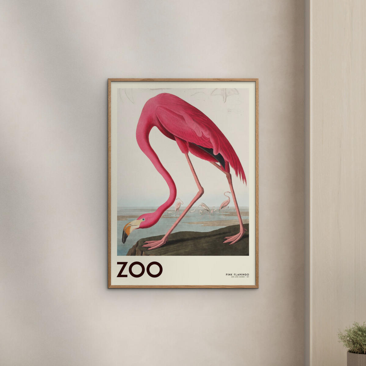 POSTER mit Rahmen A.P. Atelier - The Zoo Collection — Pink Flamingo — Edt. 001 - Pink/Eichefarben, Holz/Papier (30/40cm) - Poster&Frame