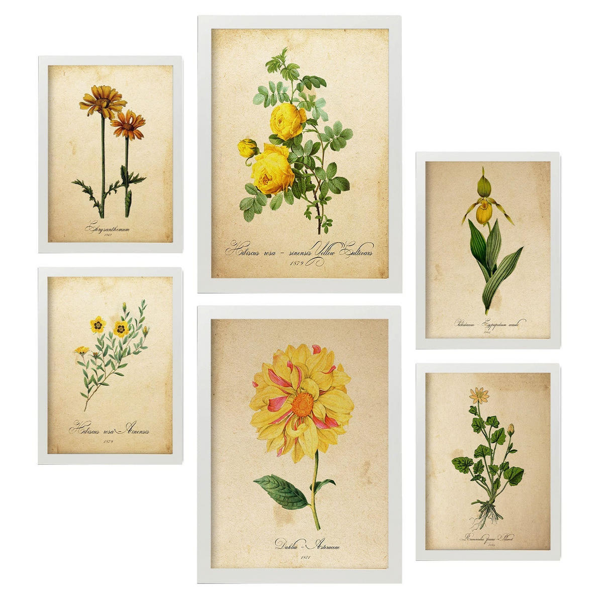 POSTER Set Mit 6 Gelbe Blumen Vollfarbige Natur Und Botanikdrucke Mit Blumenmotiven Im Vintage Papier Stil Innenarchitektur A3 & A4 Weißer Rahmen - Weiß, Papier (29/3cm) - Nacnic
