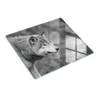 GLASPLATTE 60x52 cm Grauer Wolf - Grau, Glas (60/0.4/52cm) - TULUP