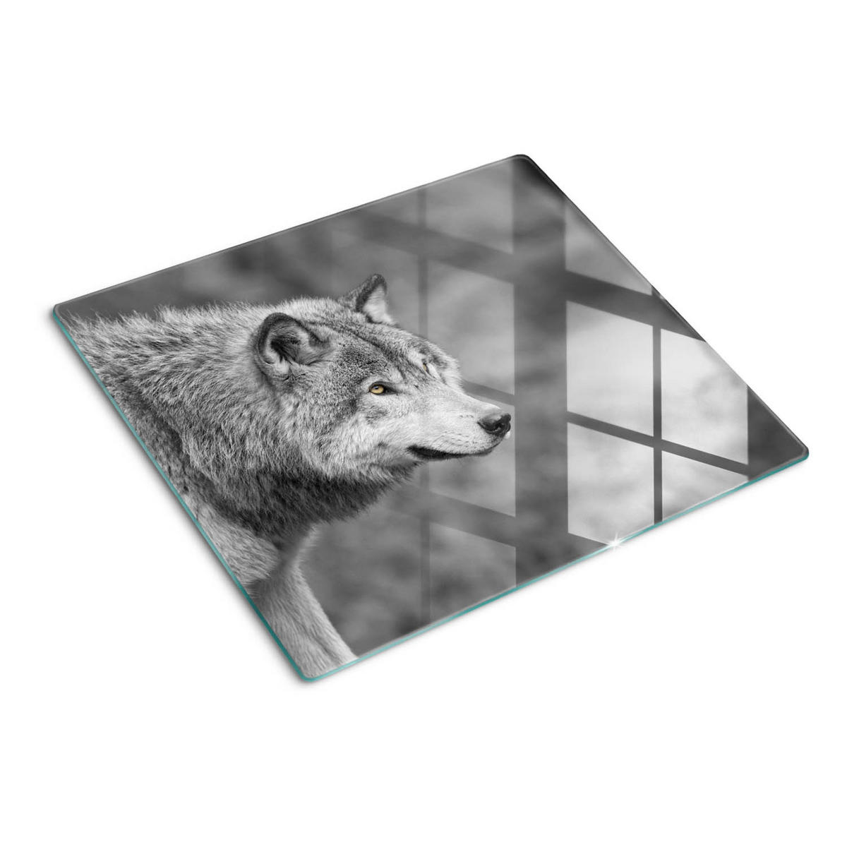 GLASPLATTE 60x52 cm Grauer Wolf - Grau, Glas (60/0.4/52cm) - TULUP