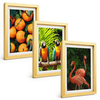 BILDER SET 3er Set - 20x30 cm Goldrahmen - Fruchtige Akzente in den Tropen - Goldfarben, Kunststoff (20/30cm) - TULUP