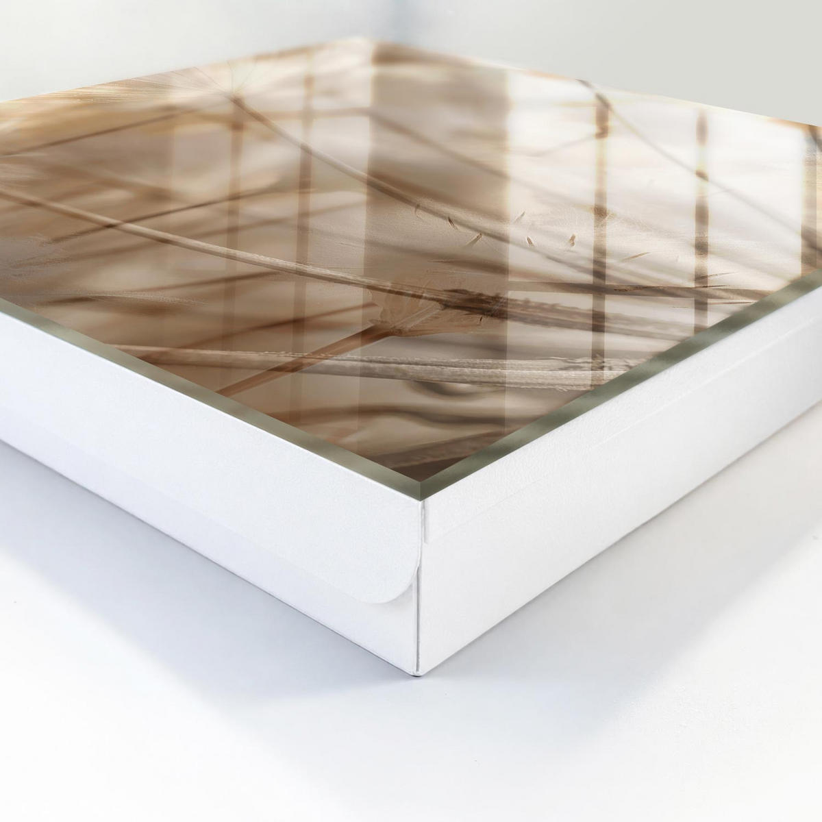 SCHLÜSSELBOX Weiß 30x30 cm – Türöffnung nach rechts - Beige Löwenzahn - Beige, Metall (30/30/5cm) - TULUP