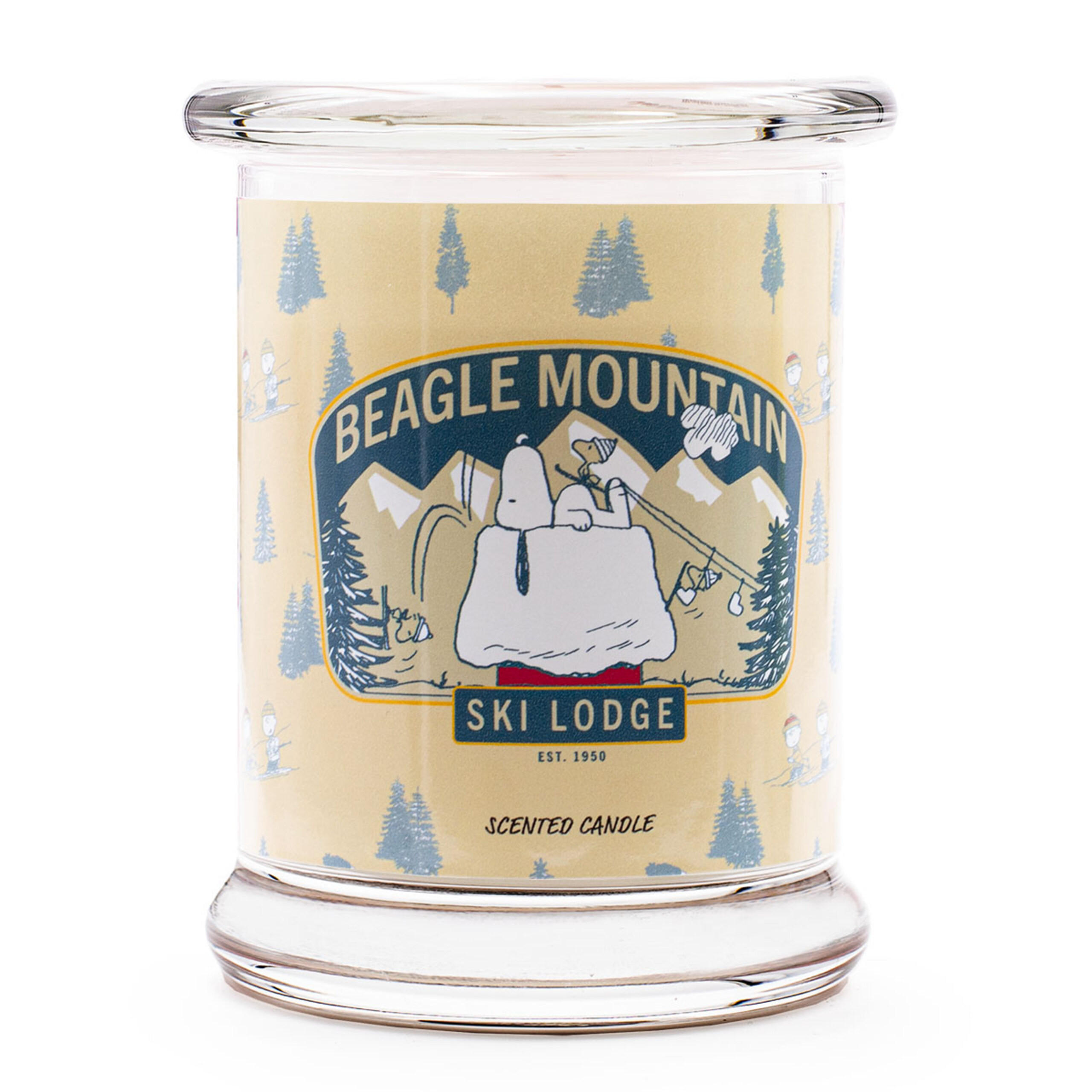 VONNÁ SVÍČKA Vícebarevná Beagle Mountain ve skle 250 g