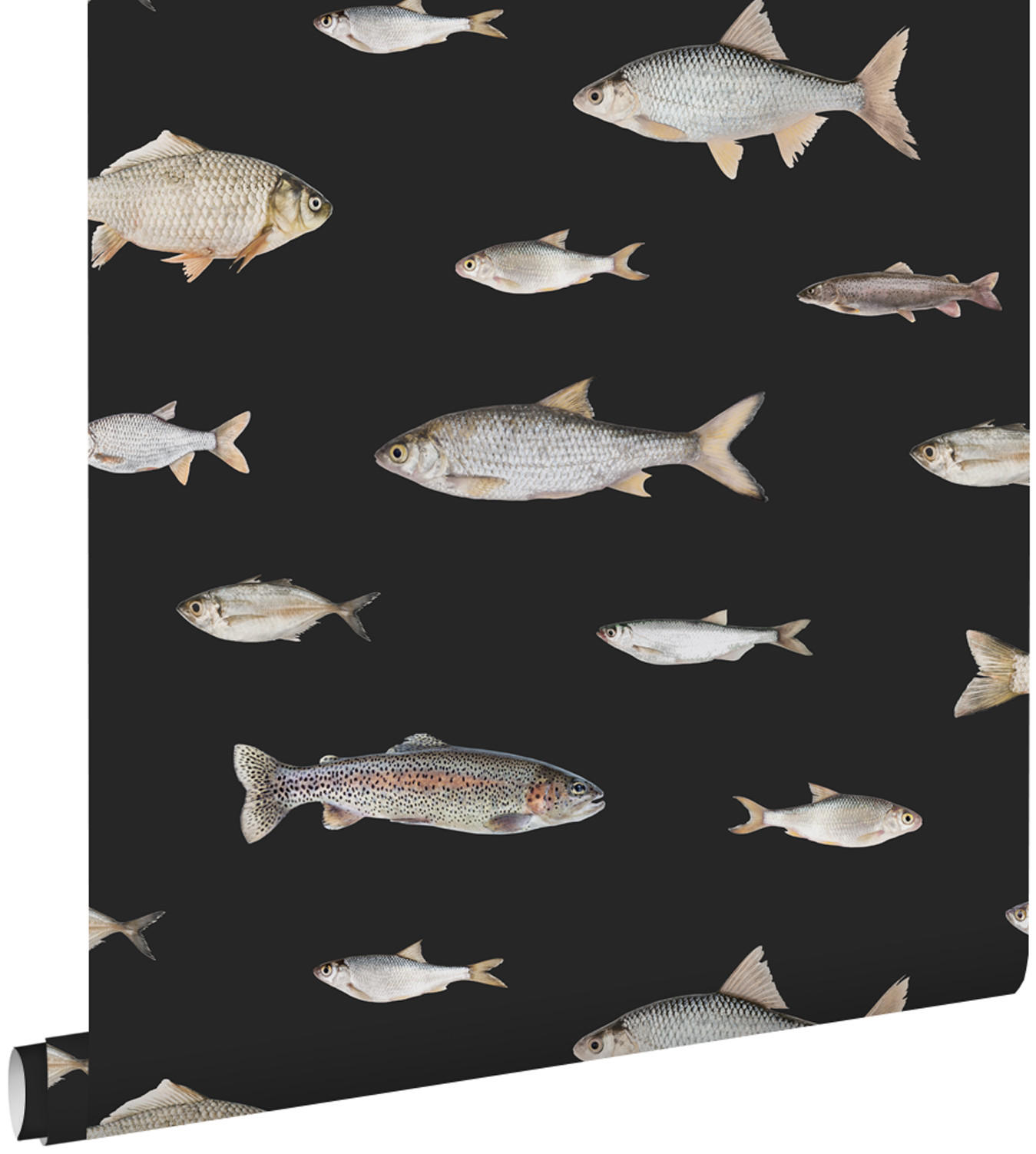 TAPETE Fische 50 x 900 cm - Schwarz, Papier (50/900cm) - ESTAhome