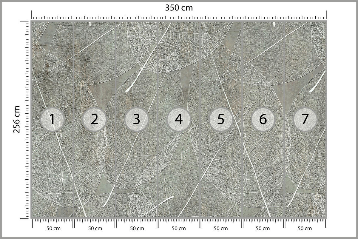 FOTOTAPETE für Wohnzimmer Weiße Blätter auf Beton Minimal 350x256 - Weiß/Grau, Papier (350/256cm) - Muralo