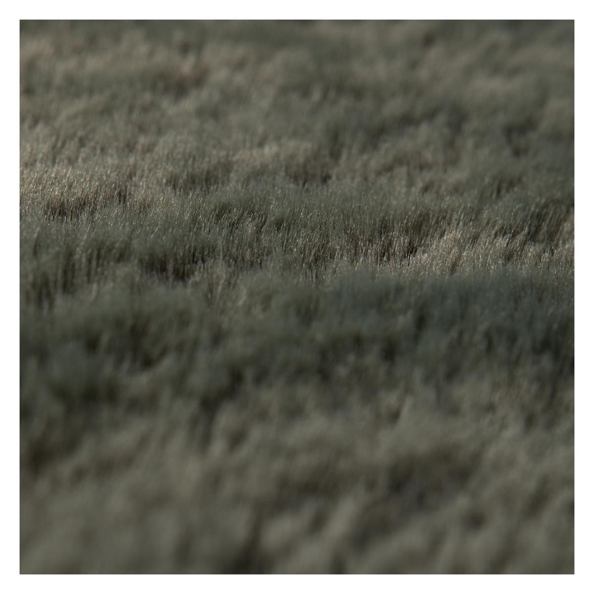 TEPPICH Eddy thymian 200 x 290 cm - Grün, Textil (200/290cm) - Vivaraise