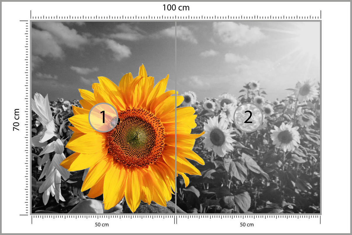 FOTOTAPETE für Küche Gelber Sonnenblume Schwarz-Weiß Hintergrund 100x70 - Gelb/Orange, Papier (100/70cm) - Muralo