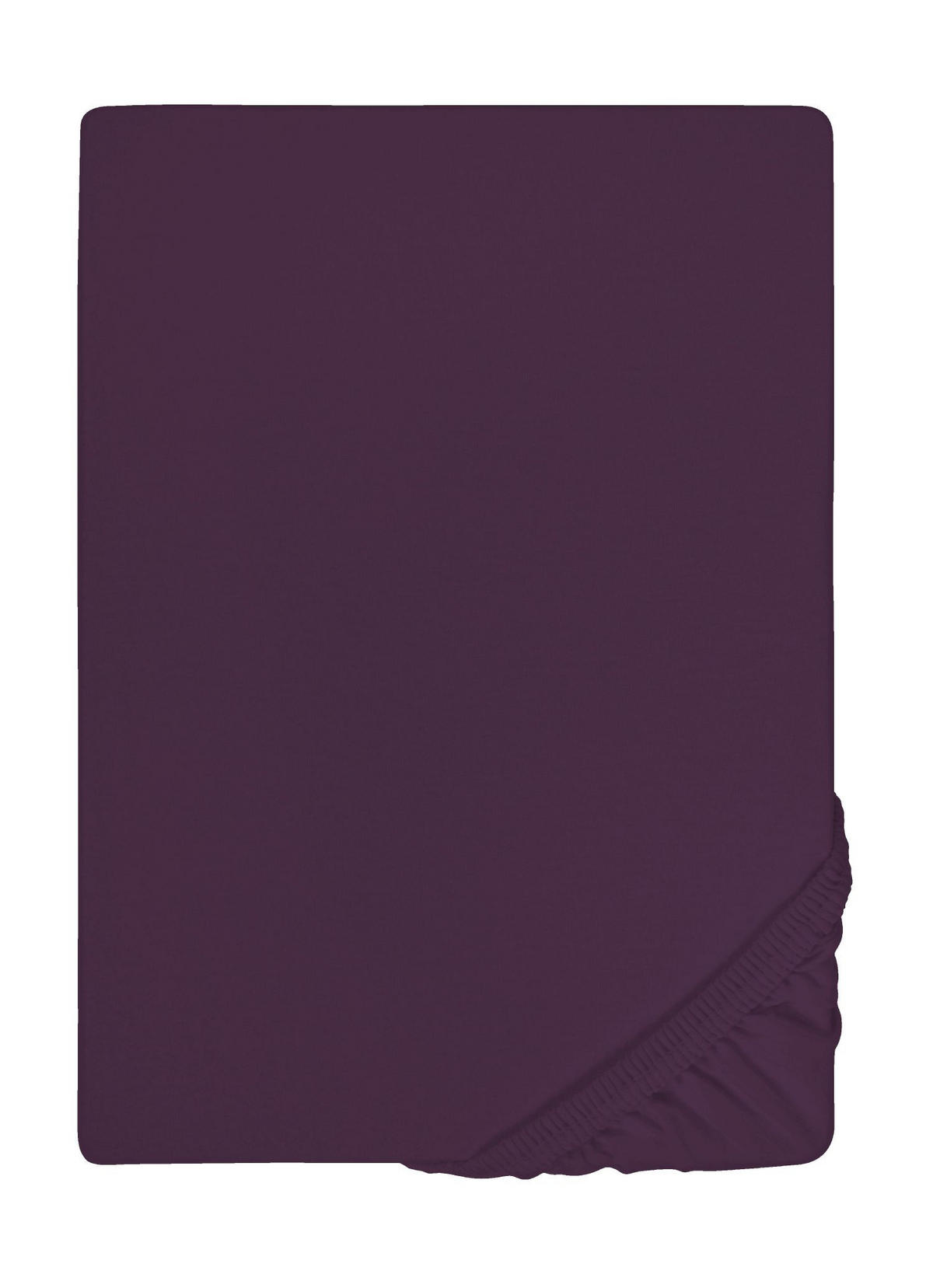 SPANNBETTTUCH Jersey dunkel violett, 120x200 cm - 130x220 cm - Violett, Textil (130/220cm) - biberna