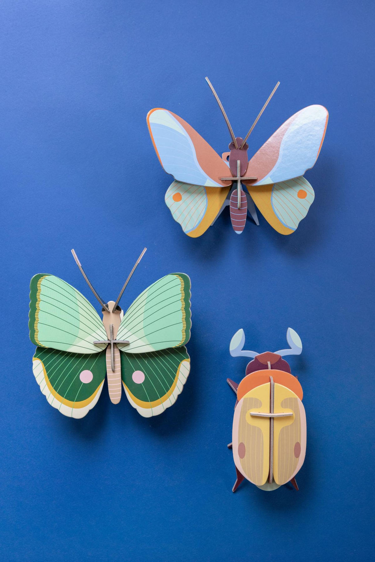 WANDDEKO Gedämpfter Käfer 4.5/15 cm - Multicolor, Wellpappe (4.5/15/6cm) - KUNSTLOFT