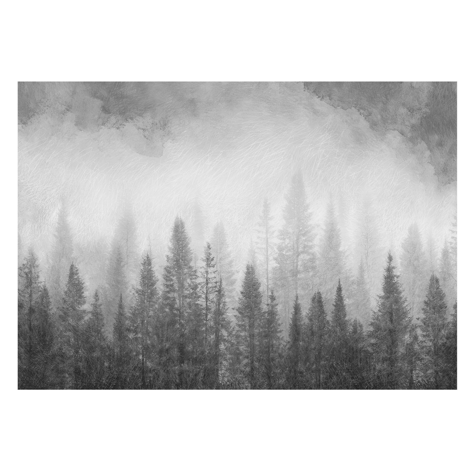 FOTOTAPETE 208x146 cm - Waldnebel - Grau, Textil (208/146cm) - Wallfluent