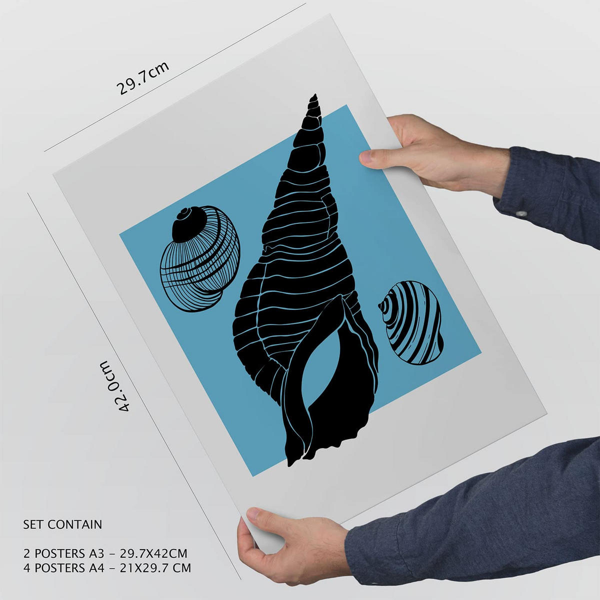 POSTER Set Mit 6 In Schwarzer Tinte Meeresschnecken Kunstdrucke Von Meer Und Ozean Für Innenarchitektur A3 & A4 Schwarzer Rahmen - Schwarz, Papier (29/3cm) - Nacnic