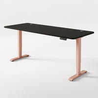 SCHREIBTISCH Elektrisch Höhenverstellbarer HomePro 200x80cm Rosa/Schwarz mit Memory-Funktion, Anti-Kollisions Technologie - Pink/Schwarz, Holzwerkstoff (80/200/62cm) - Desktronic