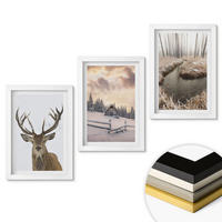 WANDBILDER 3er-Set - 20x30 cm Weißer Rahmen - Hirschhütte in Winterlandschaft - Weiß, Kunststoff (20/30cm) - ArtPrintCave