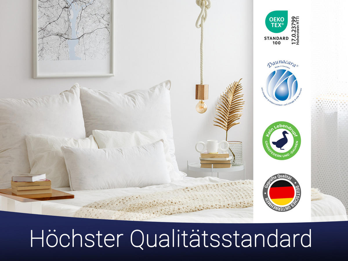 KISSEN, 80x80 cm, 100% Federn, Weiß - Weiß, Textil (80/80cm) - Zollner