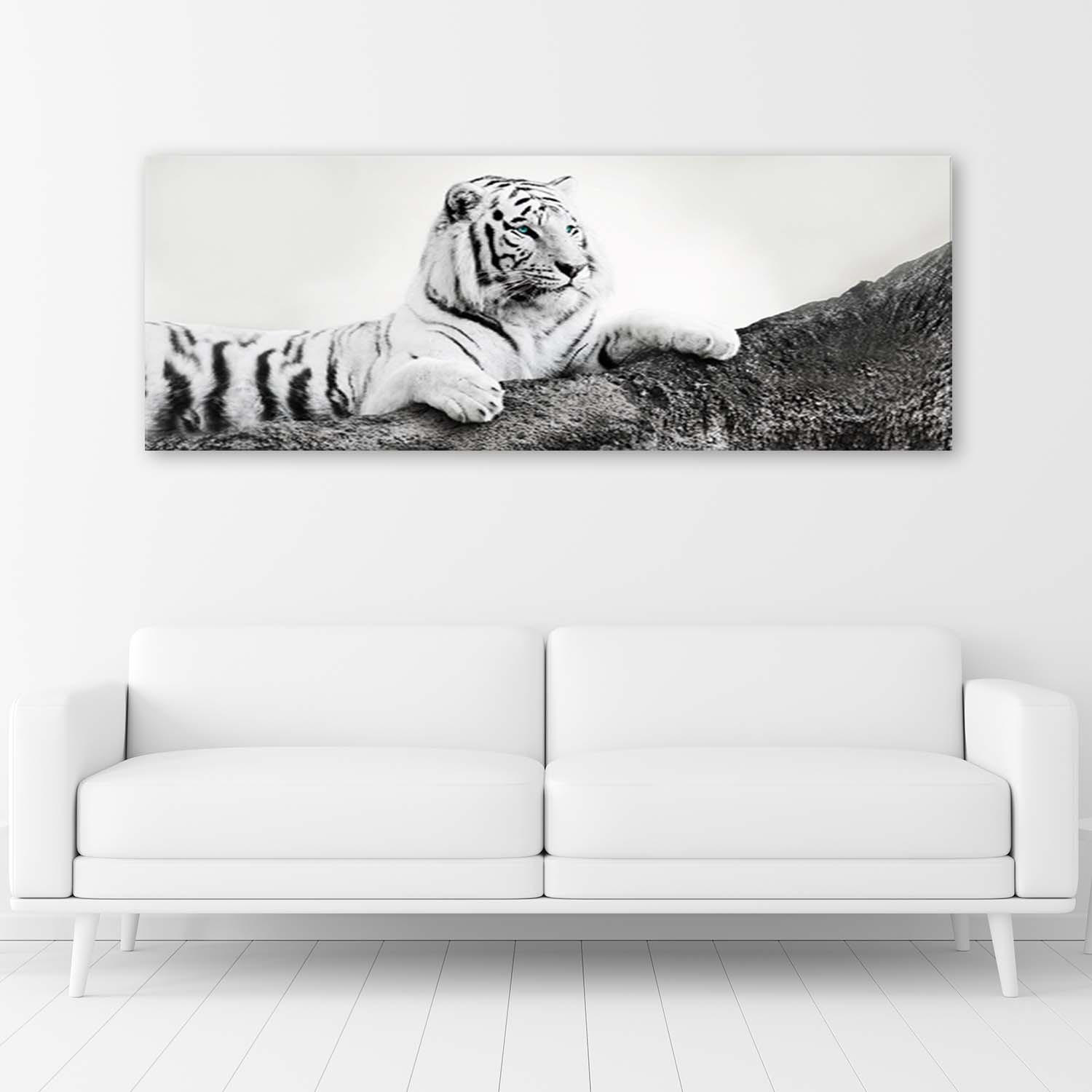 BILD AUF LEINWAND Tiger Wildtiere Natur 120x40cm - Grau, Textil (120/40cm) - Feeby