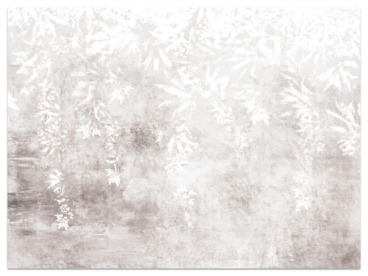 FOTOTAPETE für Küche Abstrakte Pflanzen auf Beton Vintage 200x140 - Beige/Braun, Papier (200/140cm) - Muralo