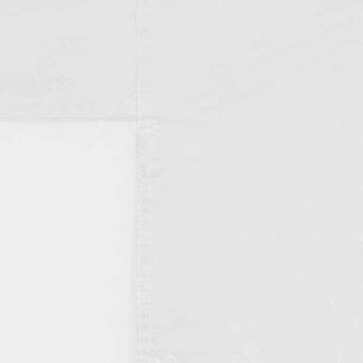 PARTYZELT-SEITENWÄNDE 2 Stück Mit Fenster Pe Weiss - Weiß, Kunststoff (300/195cm) - vidaXL