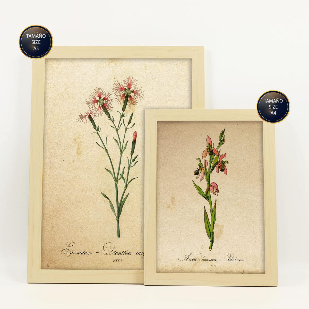 POSTER Set Mit 6 Rote Blumen Vollfarbige Natur Und Botanikdrucke Mit Blumenmotiven Im Vintage Papier Stil A3 & A4 Rahmen Aus Hellem Holz - Beige, Papier (29/3cm) - Nacnic