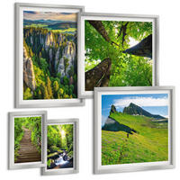 BILDER SET 5er Set - 50x50 cm & 20x30 cm & 40x60 cm Silberner Rahmen - Grüne Berge Wasserfallwald - Silberfarben, Kunststoff (40/60cm) - TULUP
