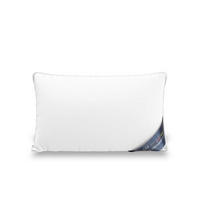 DAUNENKISSEN 45x75 im 3-Kammer-System Made in Germany & DOWNPASS Zertfiziert - Weiß, Textil (45/70cm) - AM Qualitätsmatratzen