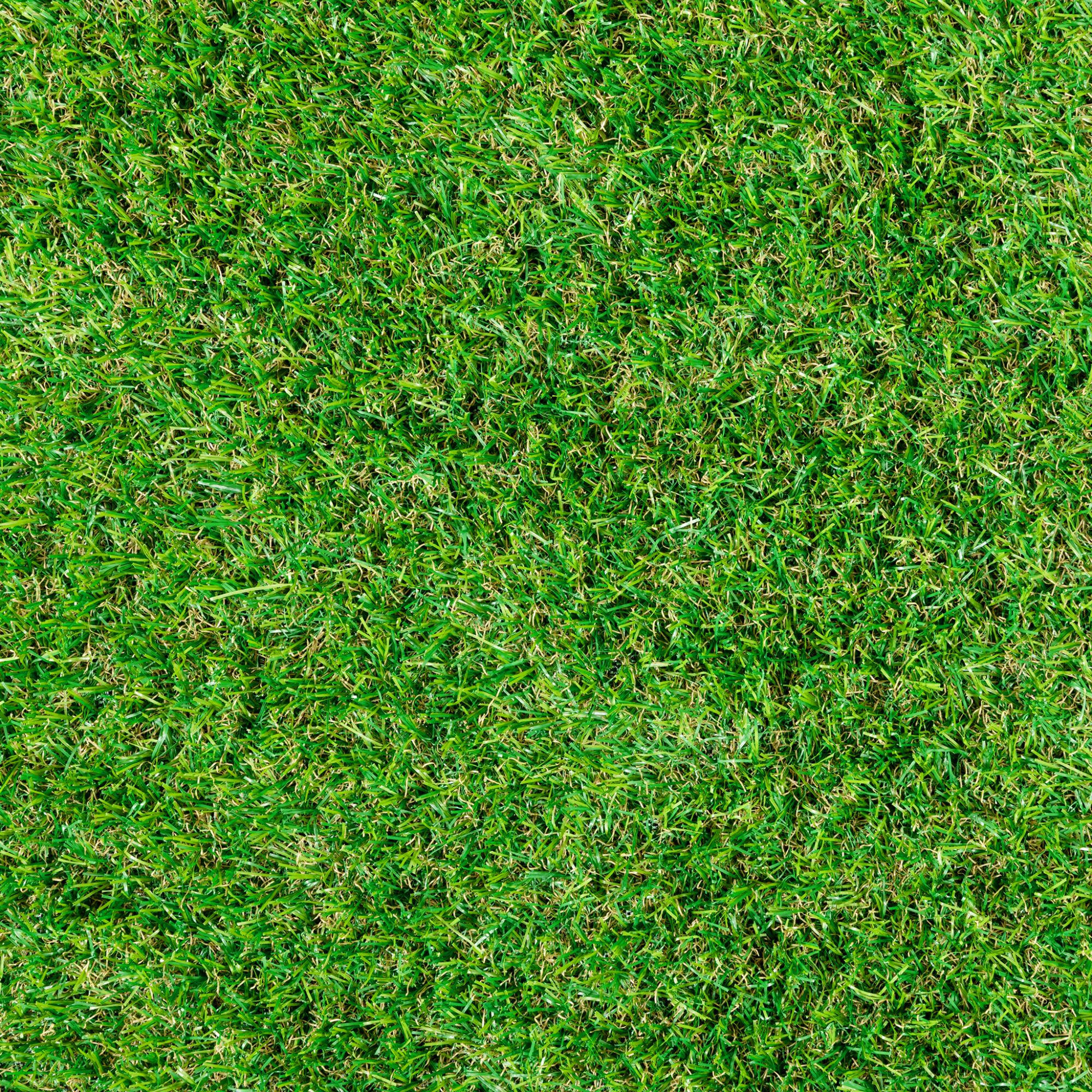 Thumbnail - Steffensmeier Rasenteppich, Grün, Kunststoff, Rechteckig, 400x500 cm, UV-beständig, Gartenzubehör, Terrassen- & Balkonbö...