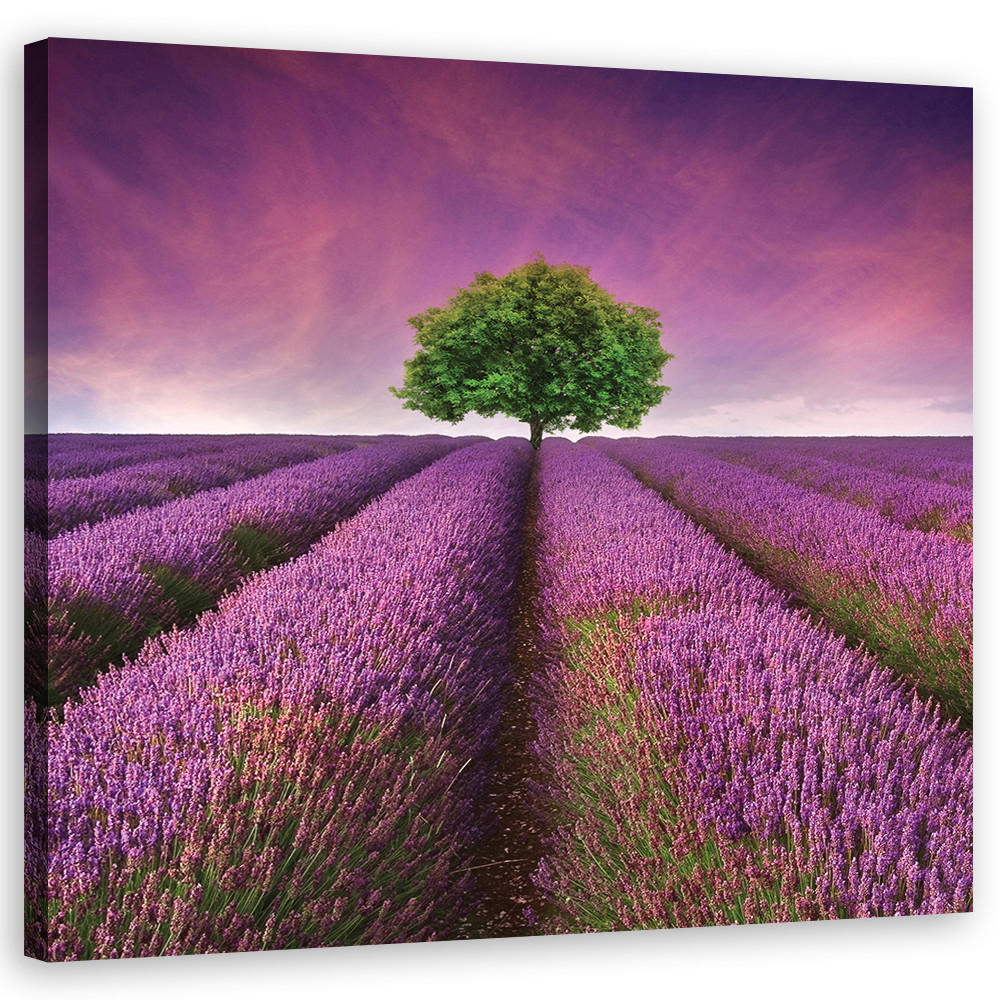 LEINWANDBILD, Landschaften - Lila 40x40cm - Lila, Textil (40/40cm) - Feeby