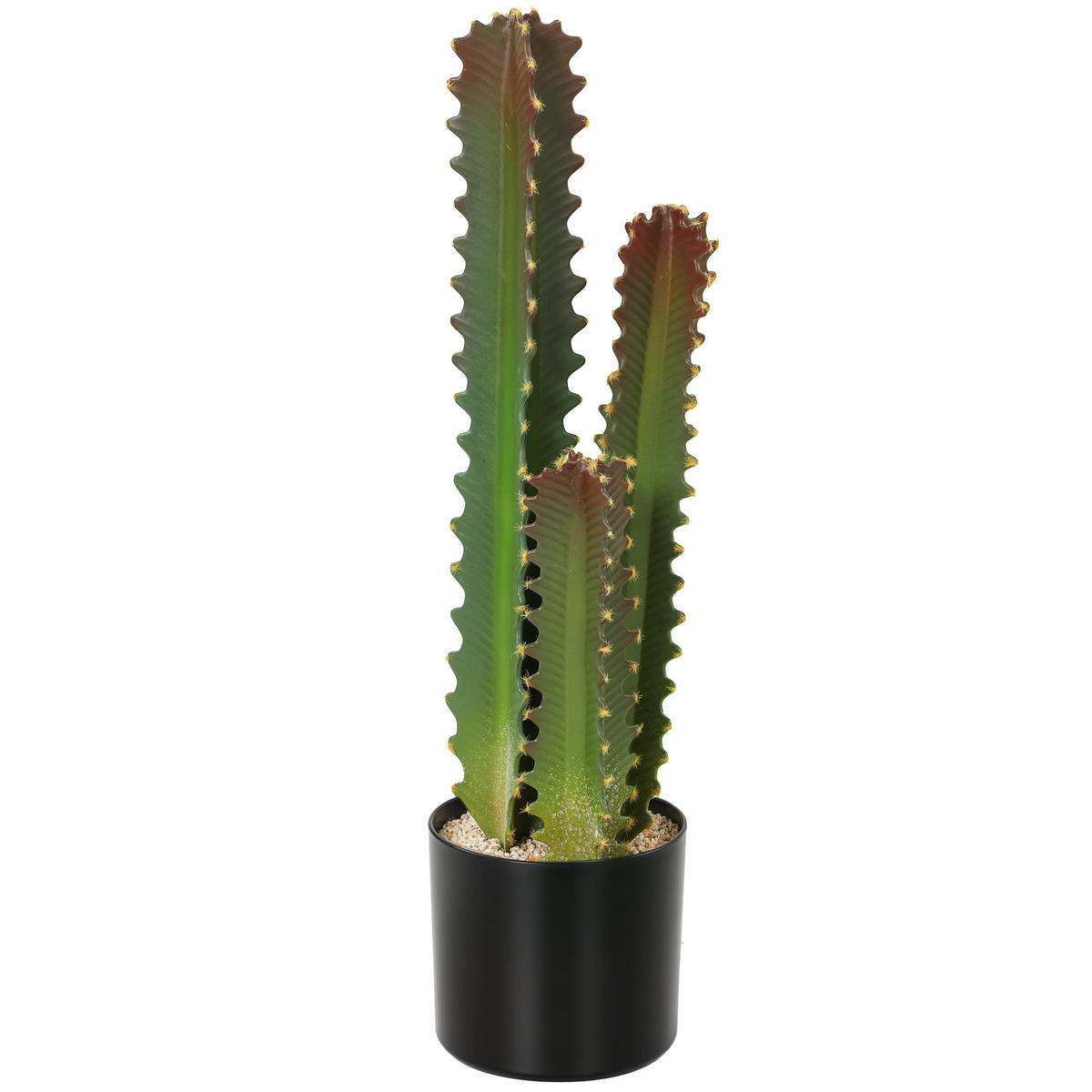 KUNSTPFLANZE, Künstlicher Kaktus 66 cm, mit Topf & 3 Blättern, für Innendekoration, pflegeleicht, Grün - Multicolor, Kunststoff (66cm) - FORIOUS