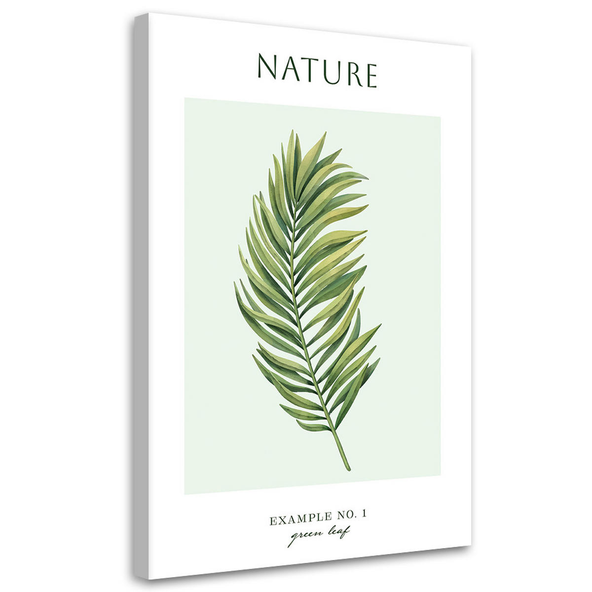 WANDBILD grünes blatt natur - Grün, Textil (40/60cm) - Feeby