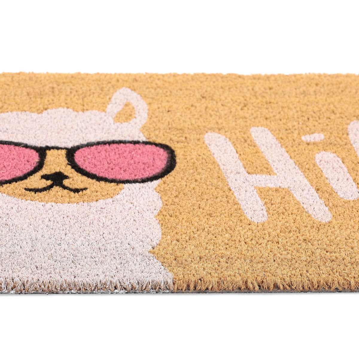 FUSSMATTE - Multicolor, Kunststoff/Textil (60/40cm) - Relaxdays