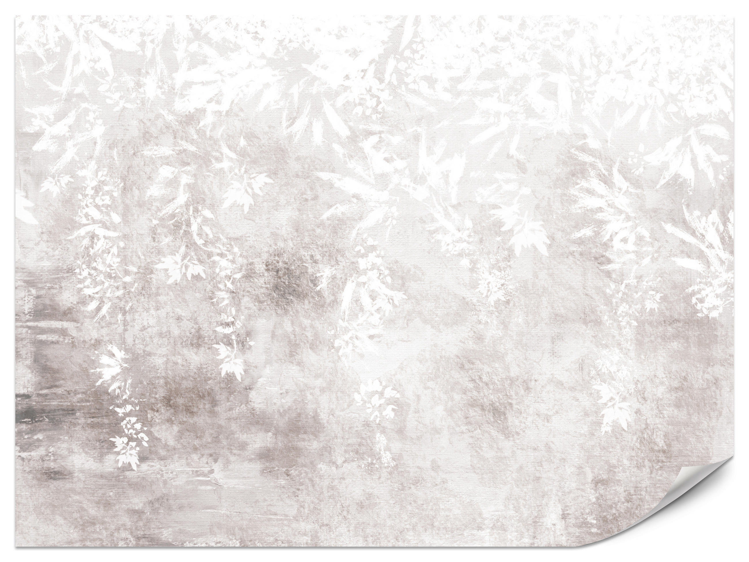 FOTOTAPETE für Küche Abstrakte Pflanzen auf Beton Vintage 200x140 - Beige/Braun, Papier (200/140cm) - Muralo