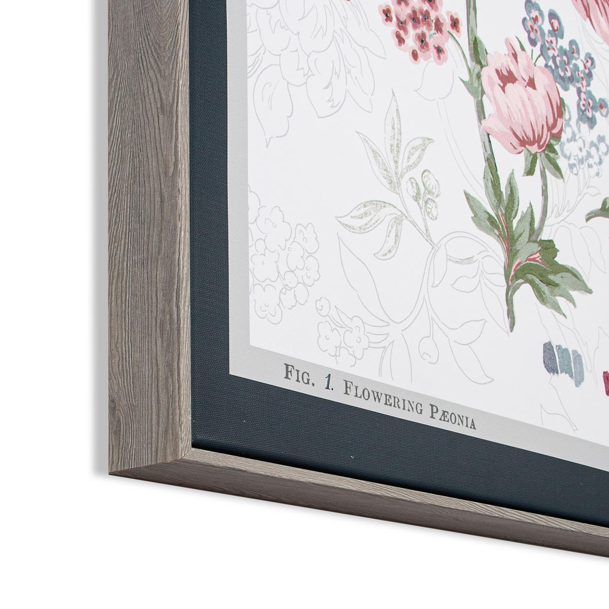 LEINWANDBILD Floral - 60x60cm - Multicolor, Holzwerkstoff (60/3cm) - Graham & Brown