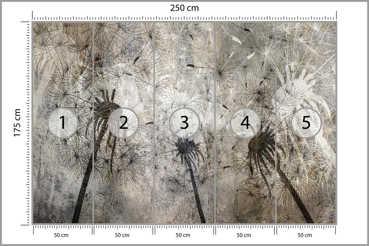 FOTOTAPETE Pusteblumen Beton Retro Stil 250x175 - Beige/Braun, Papier (250/175cm) - Muralo