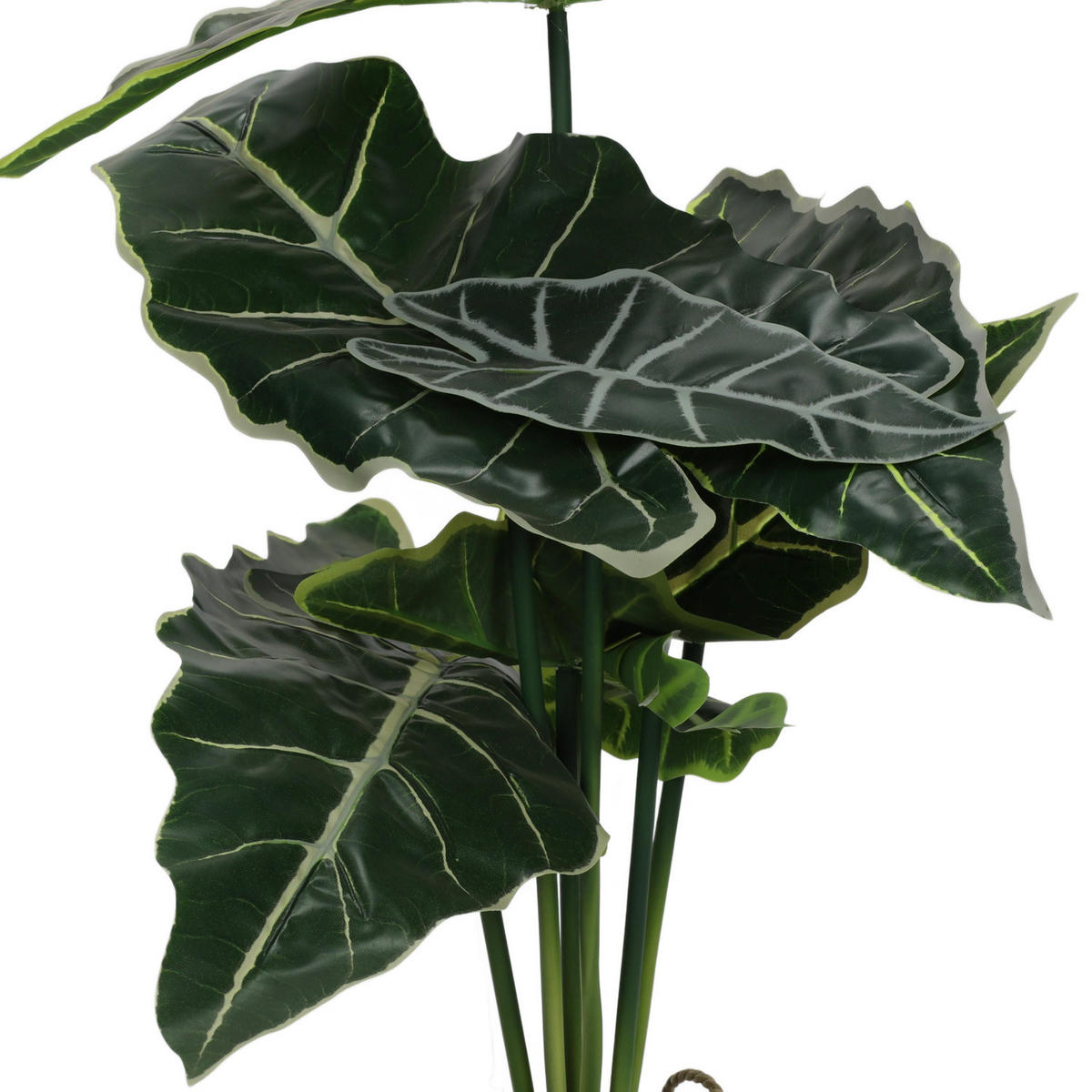 ALOKASIEN Kunstblume im Korb 30/30/51 cm - Grün, Kunststoff (51cm) - Home Styling Collection