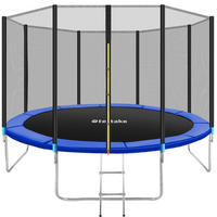 TRAMPOLIN Garfunky,inklusive Einstiegsleiter,schwarz/blau - Blau/Schwarz, Metall (396/260/396cm) - tectake