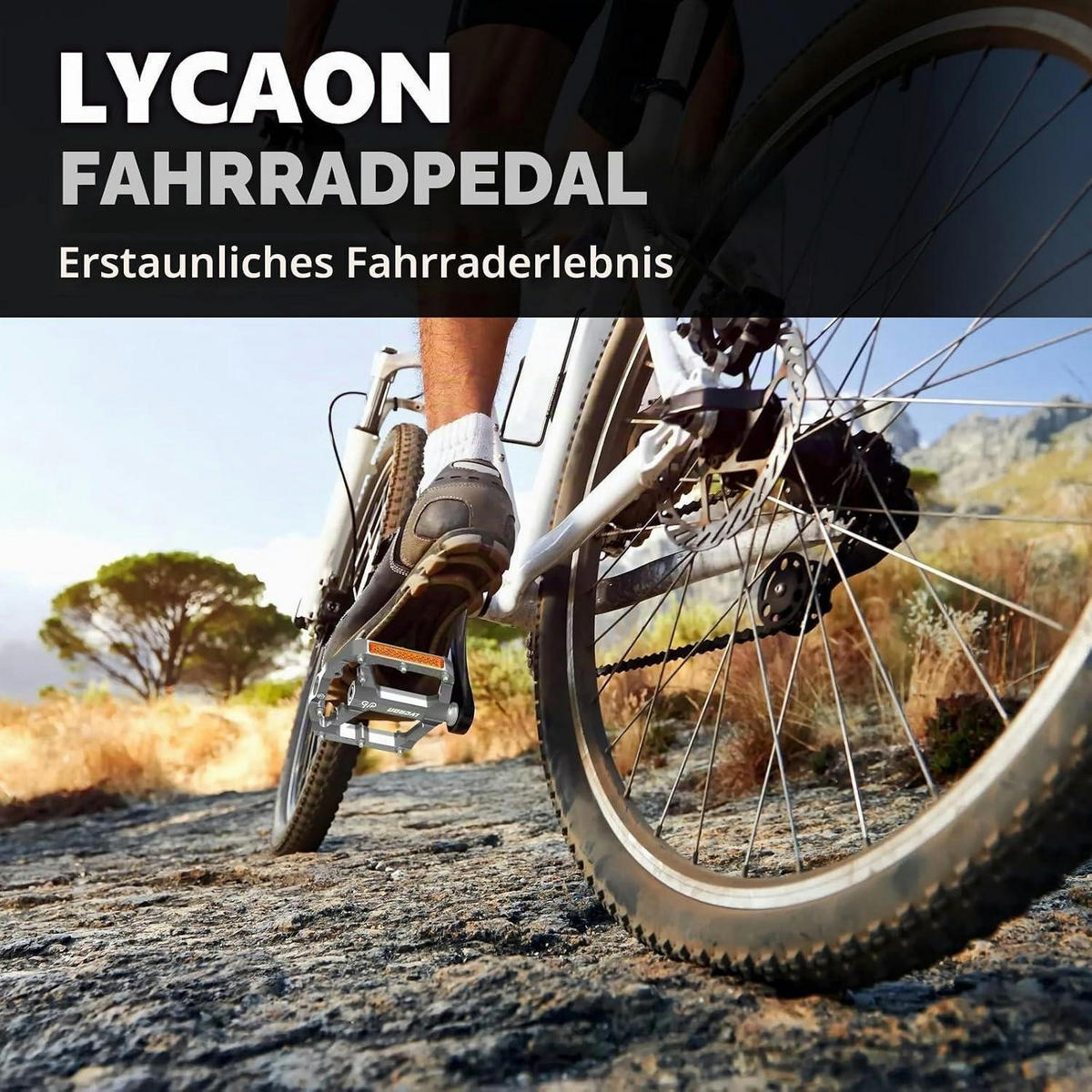 FAHRRADPEDALE Aluminium CNC Titangrau 9/16'' 3 Lager - Grau, Metall (9.7/1.8/10.4cm)
